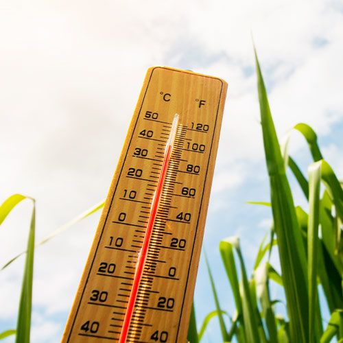 Termómetro que marca 39 grados C