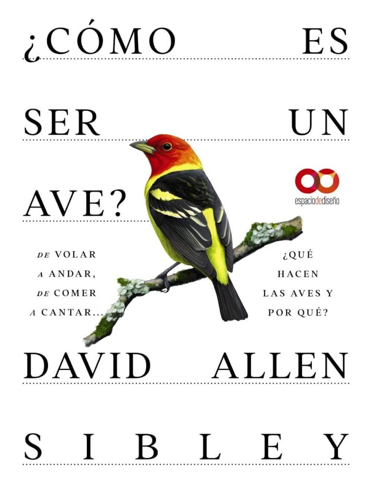 ¿Cómo es ser un ave? De volar a anidar, de comer a cantar… ¿Qué hacen las aves y por qué?