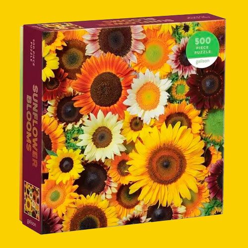 Rompecabezas Sunflower Blooms