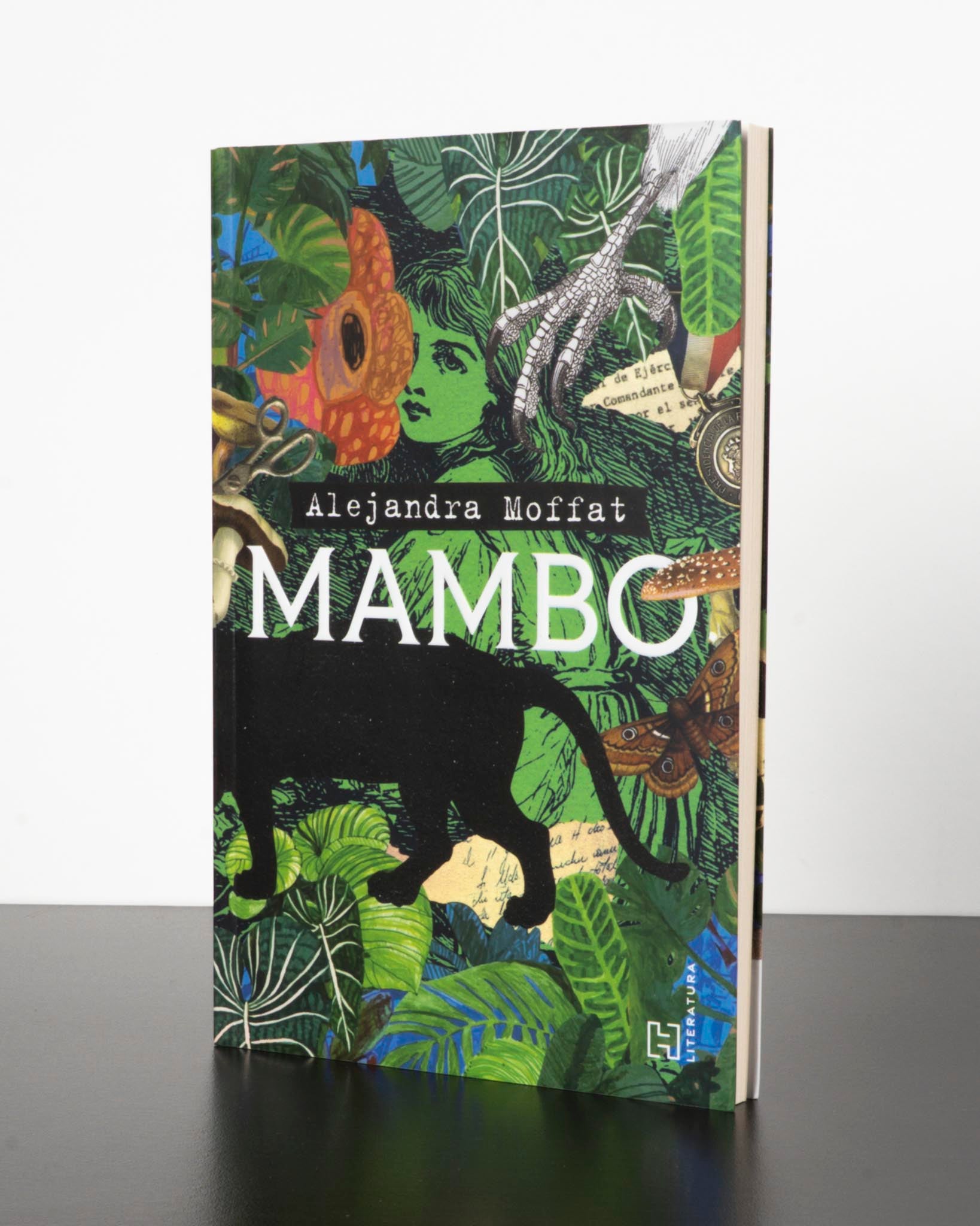 mambo 1