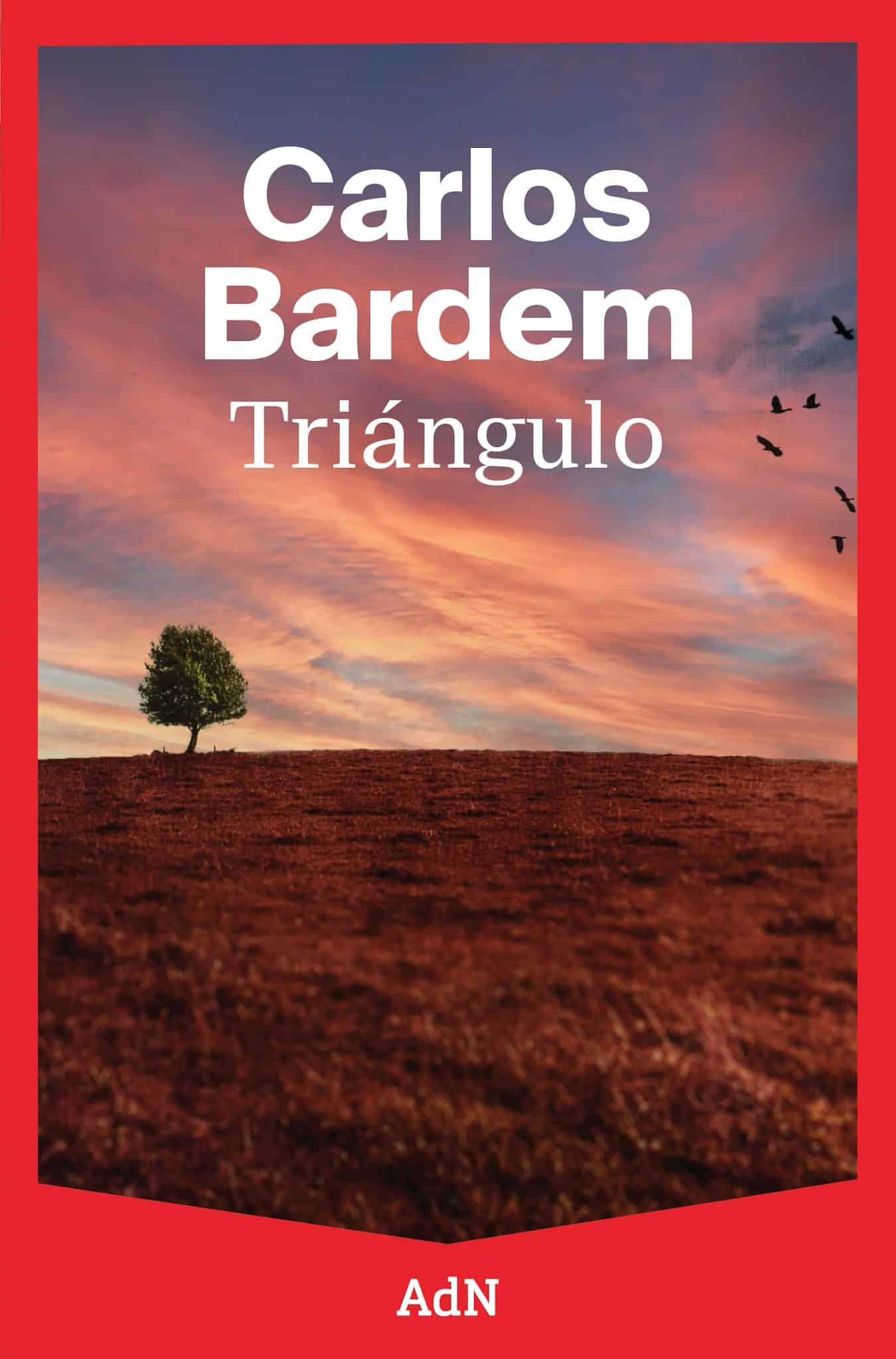 Portada de la novela Triángulo, de Carlos Bardem